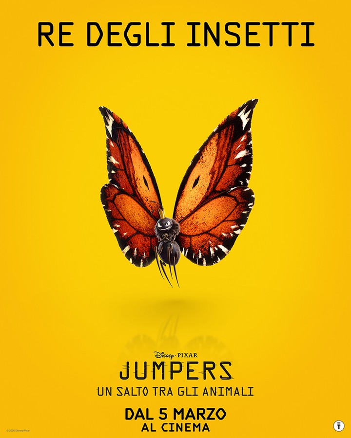 Jumpers - USTGA_4