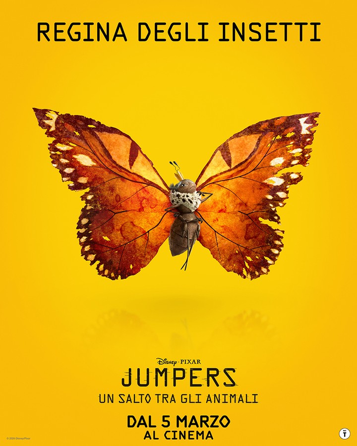 Jumpers - USTGA_5